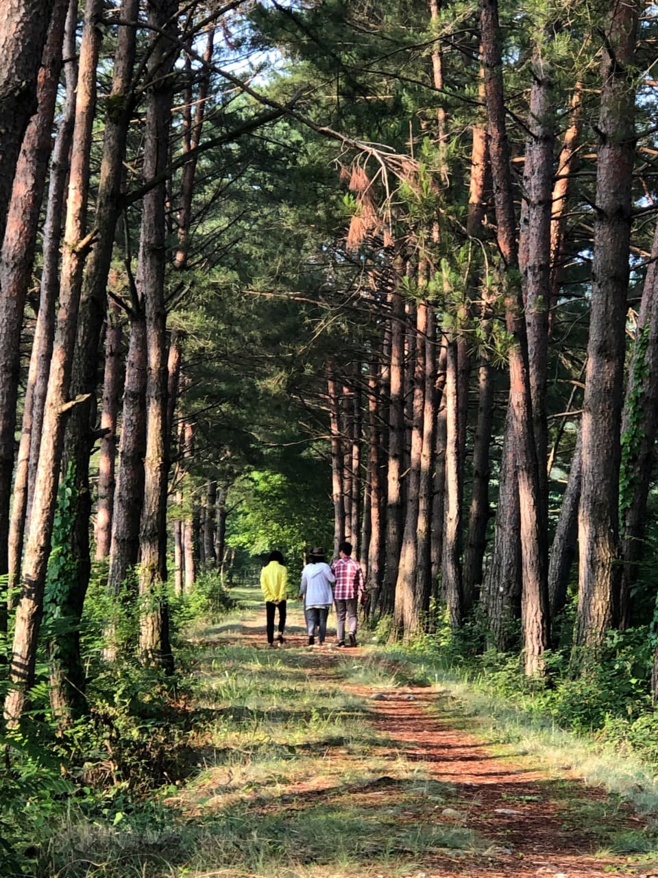 Odaesan Meditation Village OMV 2
